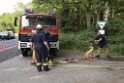 Waldbrand Koeln Hoehenhaus Hoehenfelder Mauspfad P015